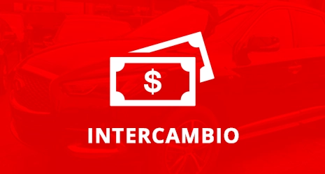 Home Banner Image 3