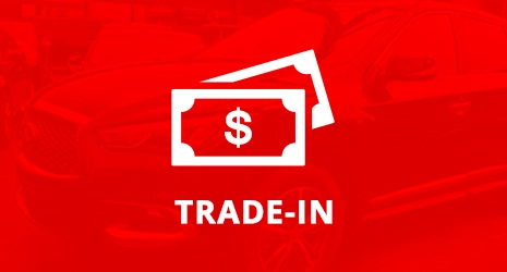 Home Banner Image 3