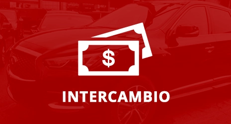 Home Banner Image 3