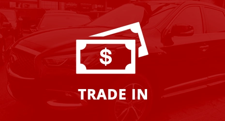 Home Banner Image 3