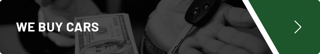 Home Banner Image 1