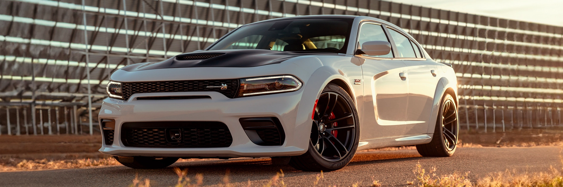 AUTO KINGZ Home Hero Image 1