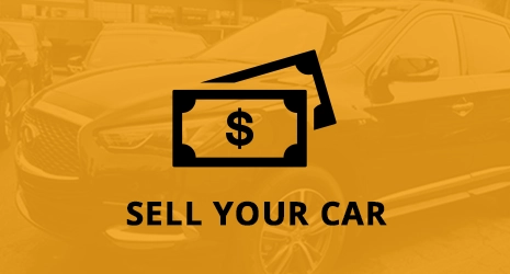 Home Banner Image 3