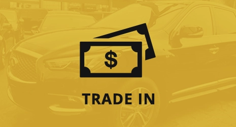 Home Banner Image 3
