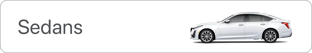 Home Banner Image 1