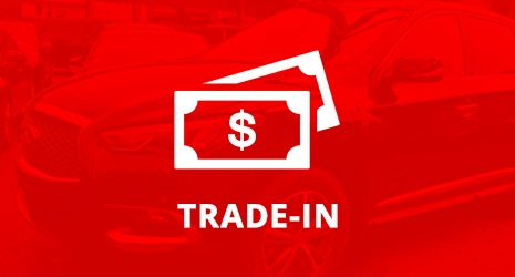 Home Banner Image 3