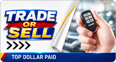 Home Banner Image 3
