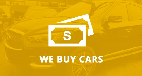 Home Banner Image 3