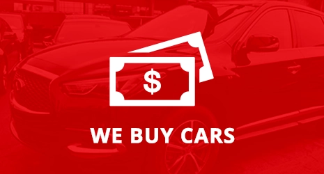Home Banner Image 3