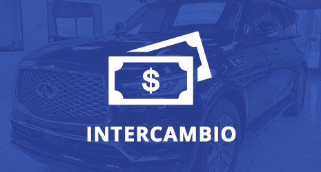 Home Banner Image 3