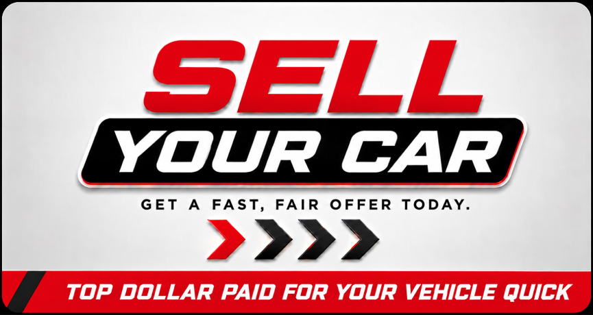 Home Banner Image 3