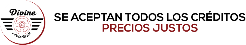 DIVINE AUTO MALL Header Logo Image