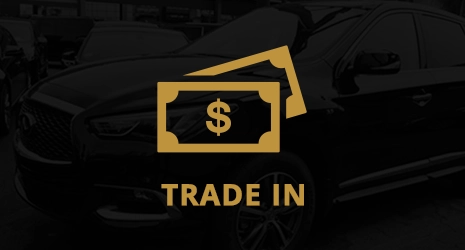 Home Banner Image 3