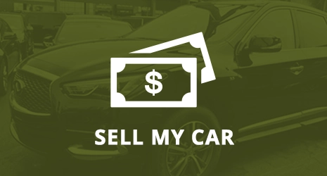 Home Banner Image 2