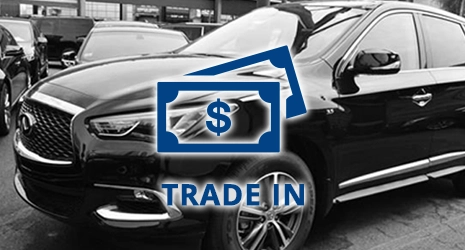 Home Banner Image 3