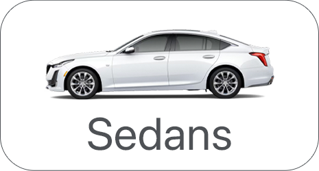 Home Banner Image 2
