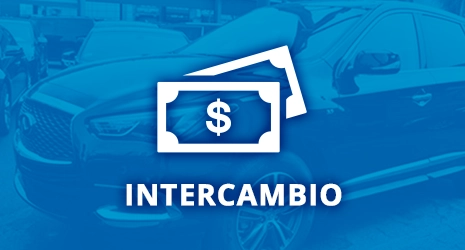 Home Banner Image 3