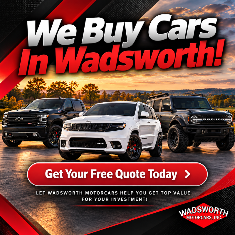 Home Banner Image 1