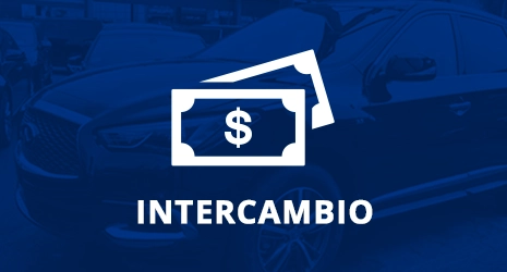Home Banner Image 3