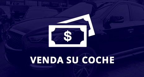 Home Banner Image 3