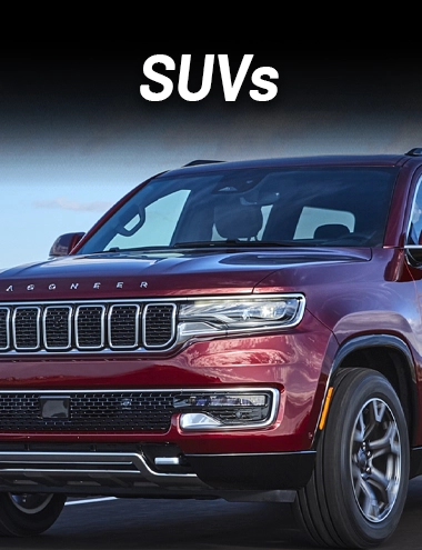 Home Banner Image 3