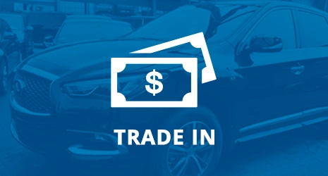 Home Banner Image 3