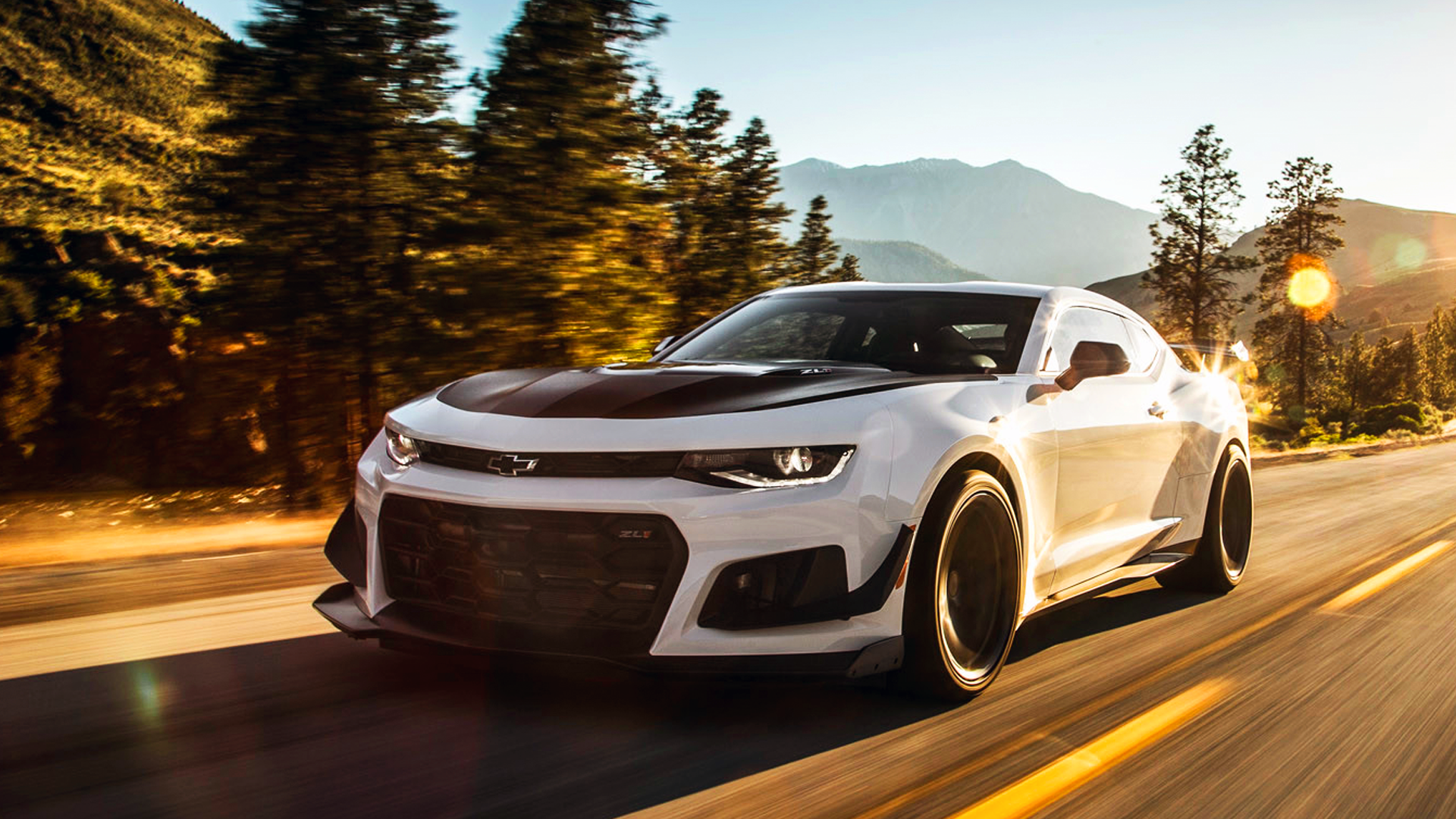 SUPERSTAR MOTORZ Home Hero Image 6