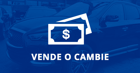 Home Banner Image 2