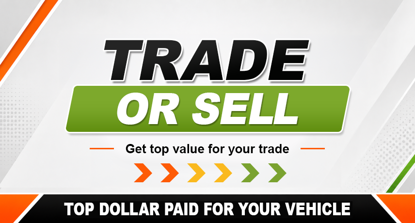 Home Banner Image 3